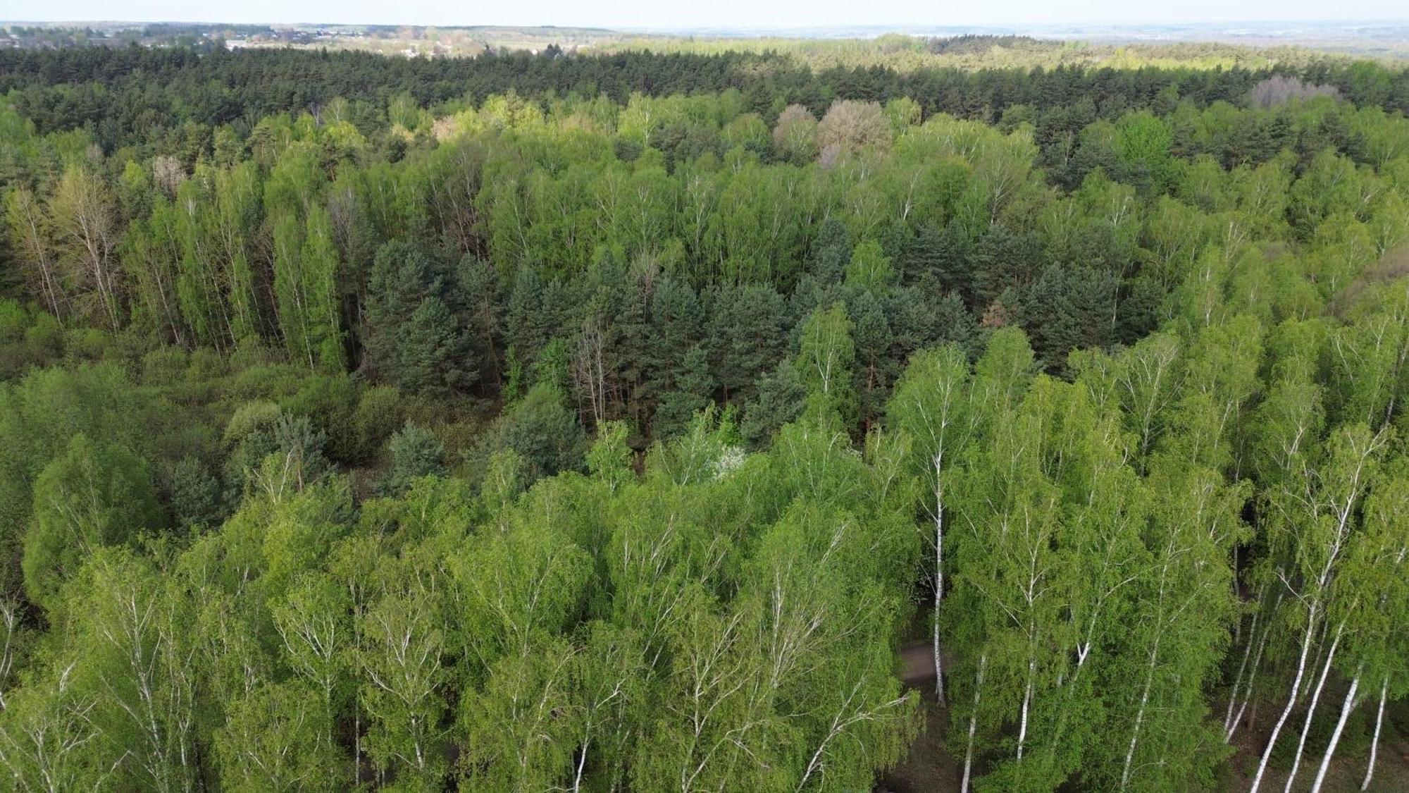 Dom Wakacyjny Z Ogromnym Ogrodem Witaszyn Esterno foto