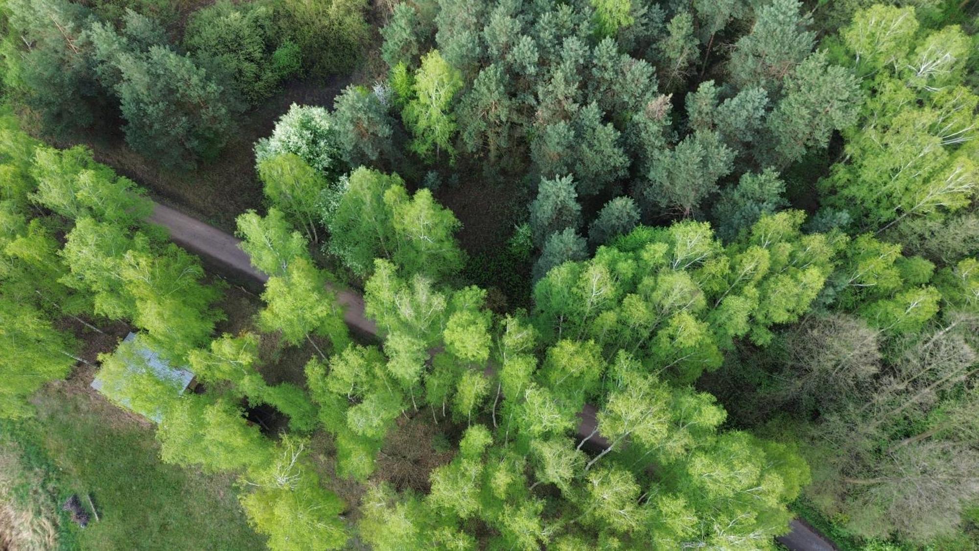 Dom Wakacyjny Z Ogromnym Ogrodem Witaszyn Esterno foto