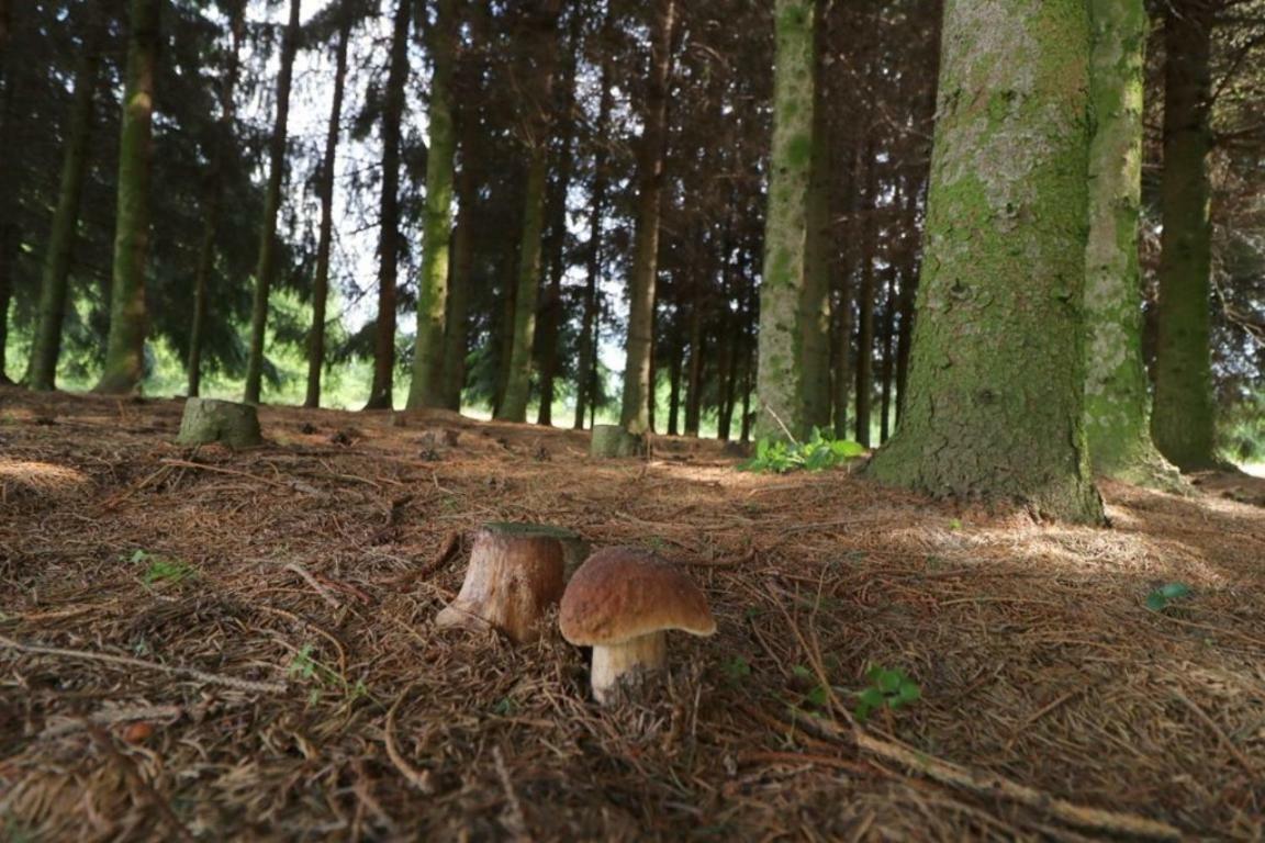 Dom Wakacyjny Z Ogromnym Ogrodem Witaszyn Esterno foto